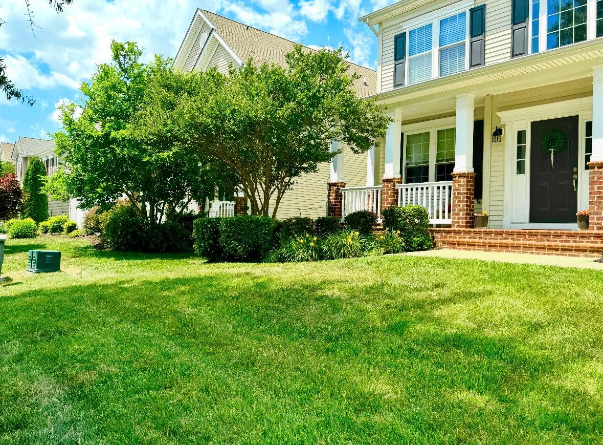 A freshly mowed lush green lawn — actual work by CJ Lawn Service